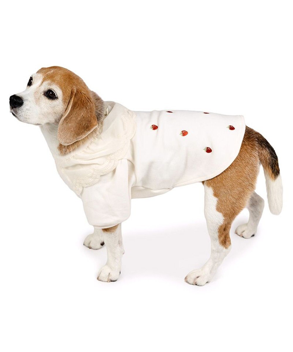 PET PARADISE ペットパラダイス ペティヒートDAN Tシャツ 《いちご柄》 中型犬 大型犬 