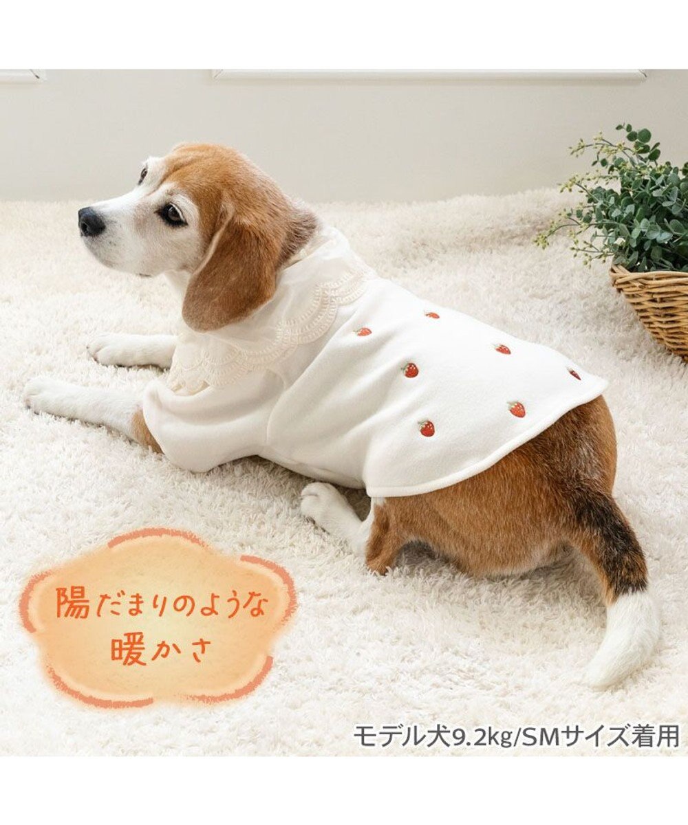 PET PARADISE ペットパラダイス ペティヒートDAN Tシャツ 《いちご柄》 中型犬 大型犬 