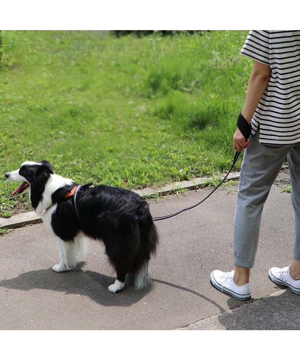 PET PARADISE 両面反射リード ブラック120㎝【Ｍ～Ｌ】 