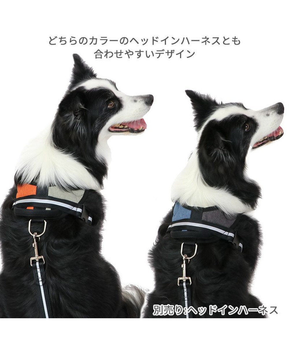美しい専用反射デザイン犬用リード 150cm le002-19-1200-1200.jpg?fitin=