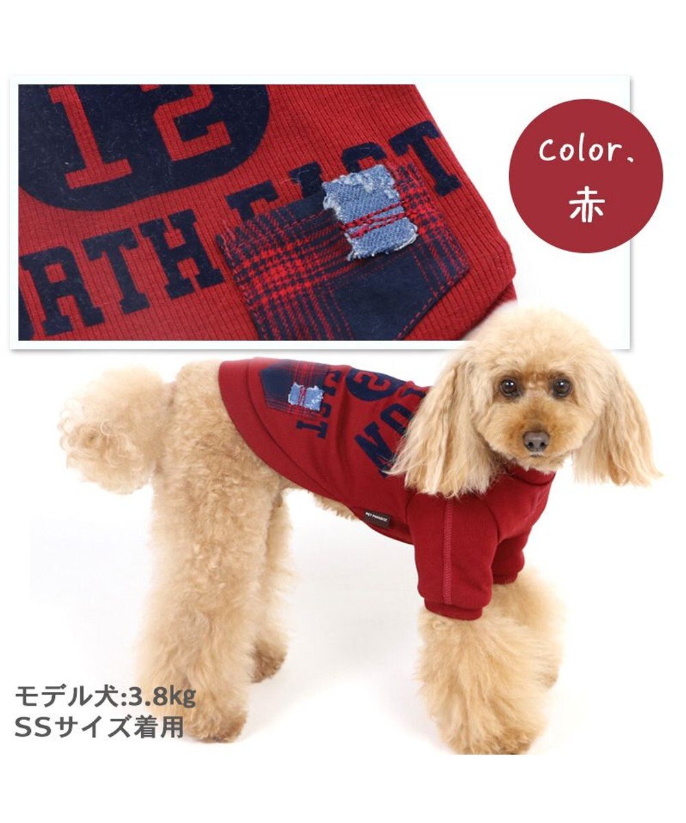 PET PARADISE 犬 服 Tシャツ 【小型犬】 プレミアム ペティーヒート カレッジ 赤 