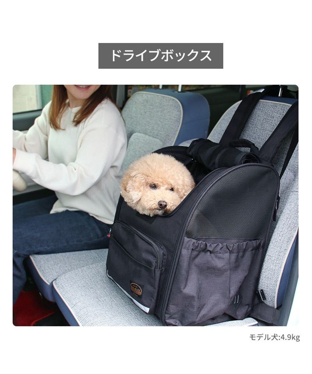 PET PARADISE ペットパラダイス 折畳み ハウスリュック 小型犬 