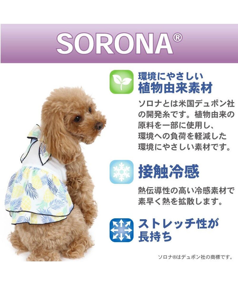 犬服 犬 服 ペットパラダイス クール 接触冷感 パイン柄 ワンピース 小型犬 超小型犬 小型犬 ひんやり 夏 涼感 冷却 吸水速乾 タッチワンクール Pet Paradise 通販 雑貨とペット用品の通販サイト マザーガーデン ペットパラダイス