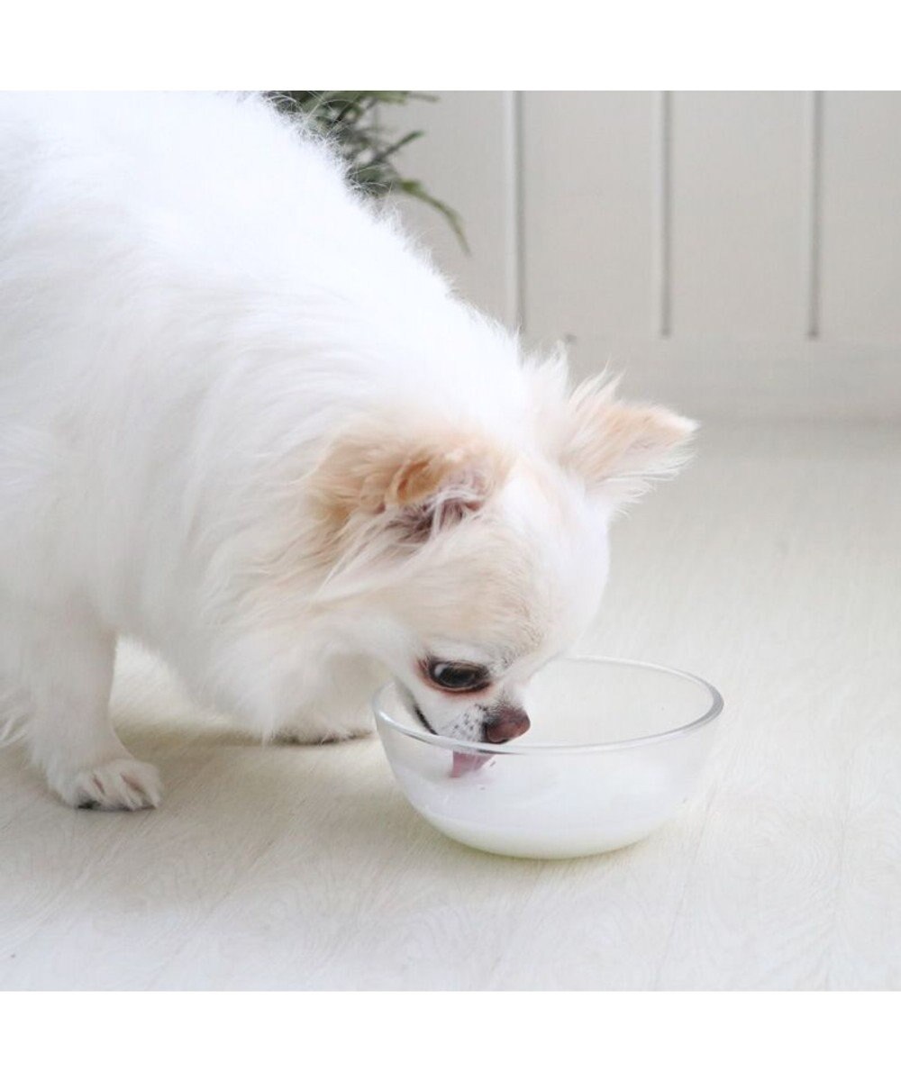 PET PARADISE ペットパラダイス ペット用 ヤギミルク オランダ産 