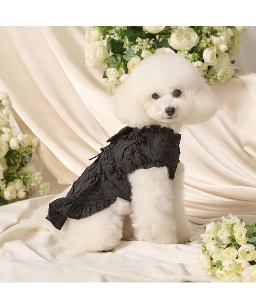 PET PARADISE cherircouture フリルリボン ワンピース 《ブラック》 小型犬 