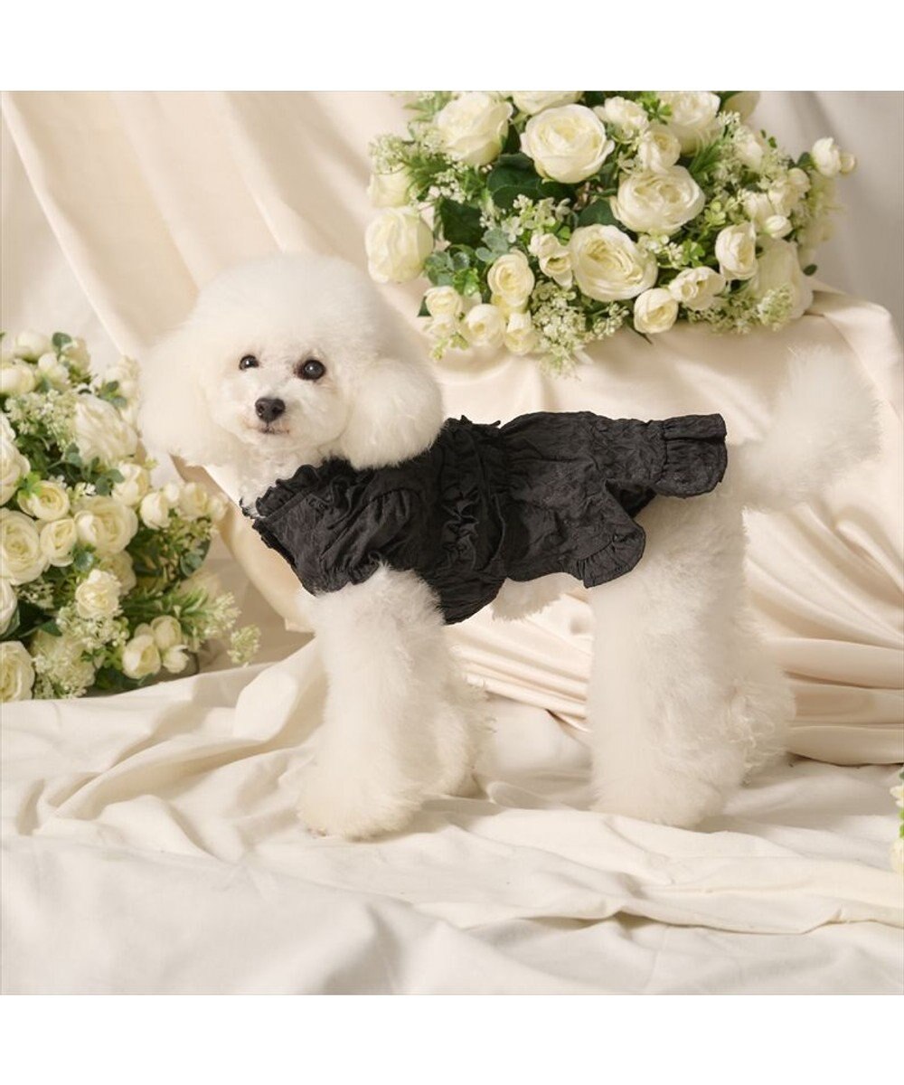 PET PARADISE cherircouture フリルリボン ワンピース 《ブラック》 小型犬 