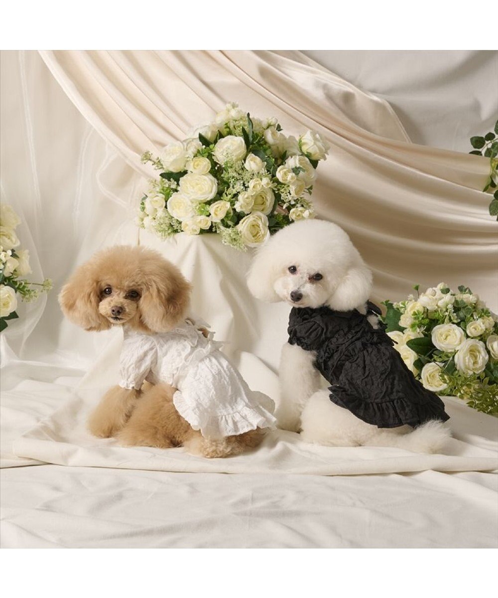 PET PARADISE cherircouture フリルリボン ワンピース 《ブラック》 小型犬 