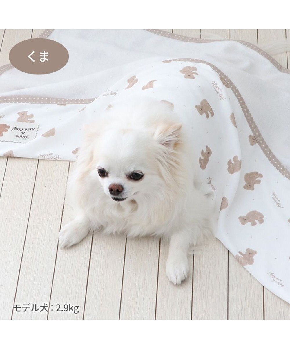 PET PARADISE ペットパラダイス クールケット 《くま柄》 小型犬 