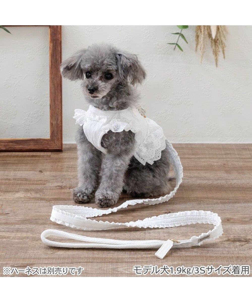 PET PARADISE ペットパラダイス レースフリル リード ＳＳ～Ｓ 