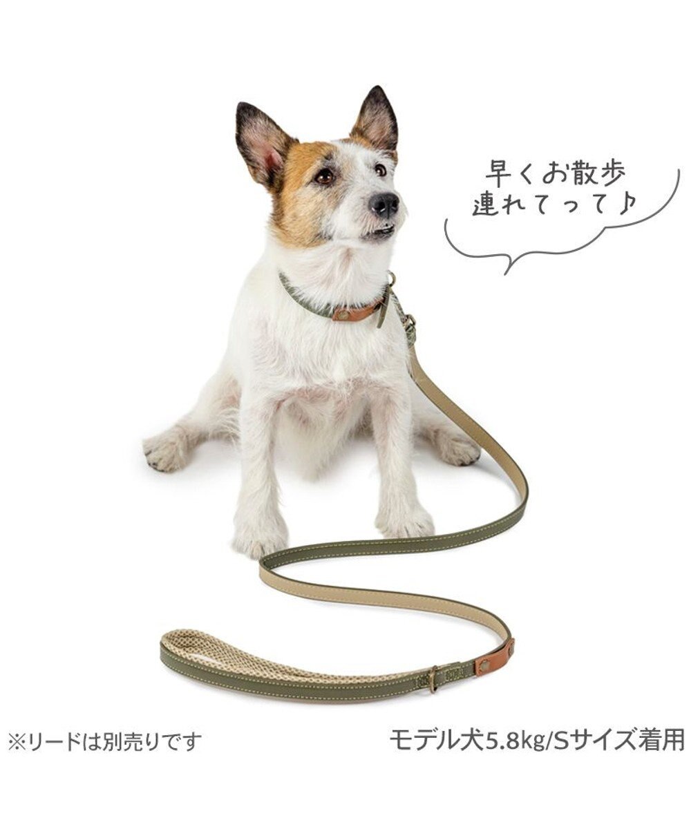 PET PARADISE ペットパラダイス 合皮 首輪 《カーキ》 小型犬 3S