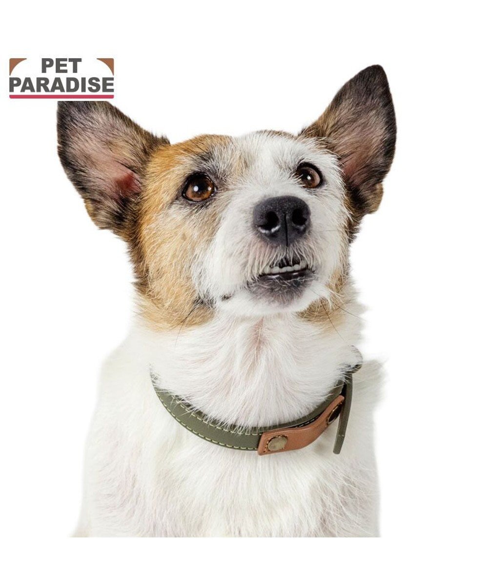 PET PARADISE ペットパラダイス 合皮 首輪 《カーキ》 小型犬 ３S 
