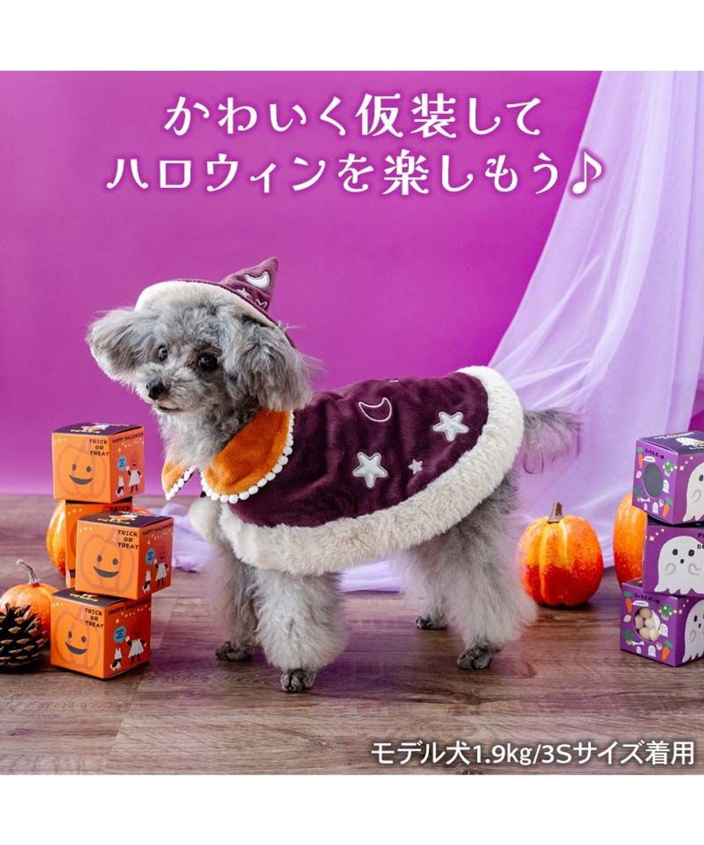 PET PARADISE ペットパラダイス 魔法つかいマント 小型犬 