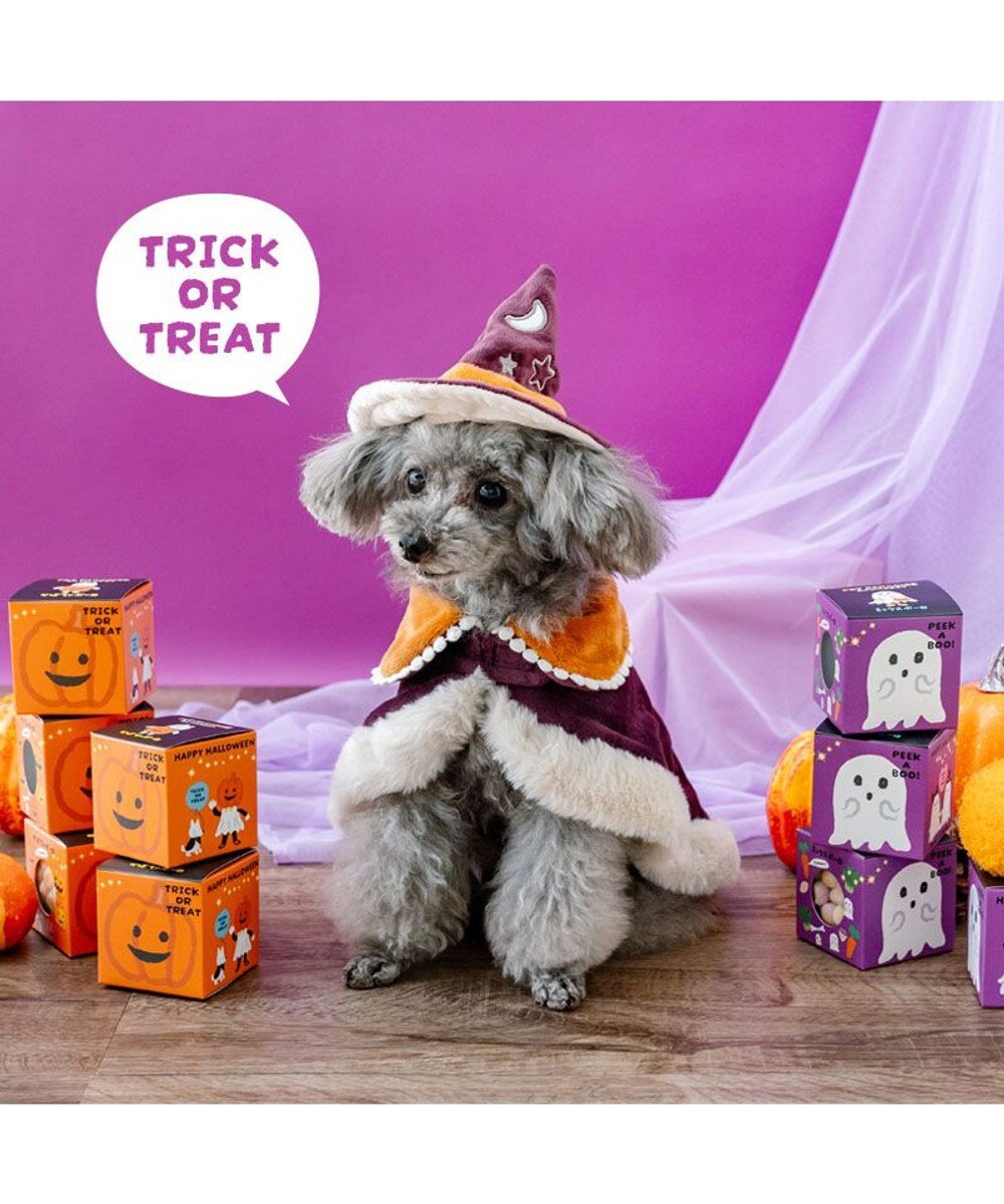 PET PARADISE ペットパラダイス 魔法つかいマント 小型犬 