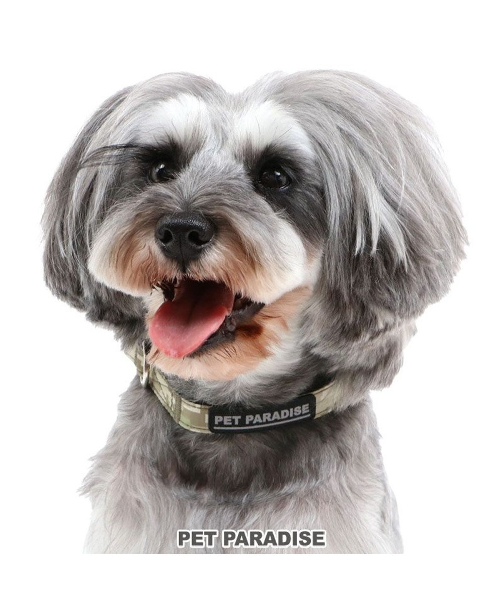 PET PARADISE ペットパラダイス 犬 首輪 デジカモ 【Ｓ】 カーキ