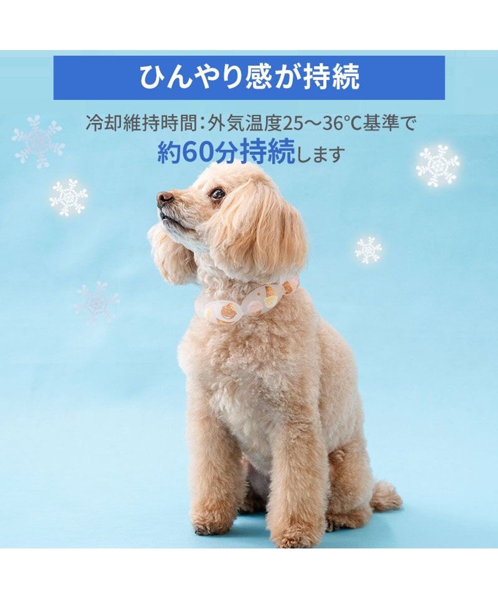 PET PARADISE ペットパラダイス １８℃ クールリング ３Ｓ 《アイス柄》 