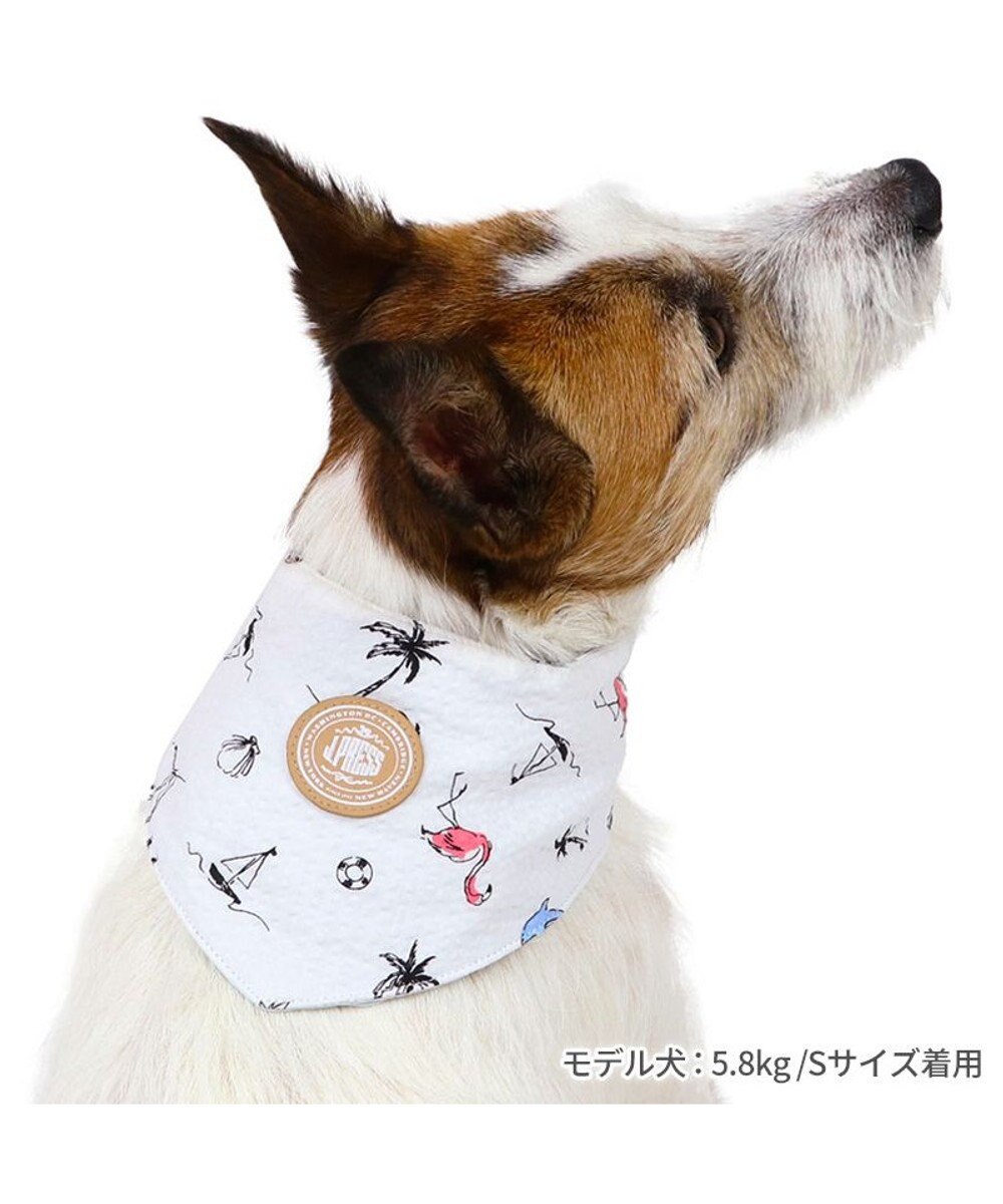 J.PRESS リップル クールバンダナ 小型犬 / PET PARADISE