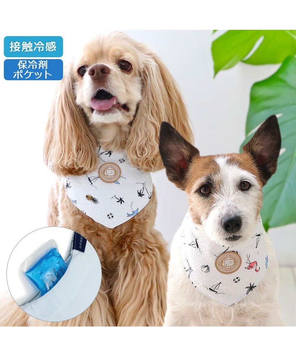 J.PRESS リップル クールバンダナ 小型犬 / PET PARADISE