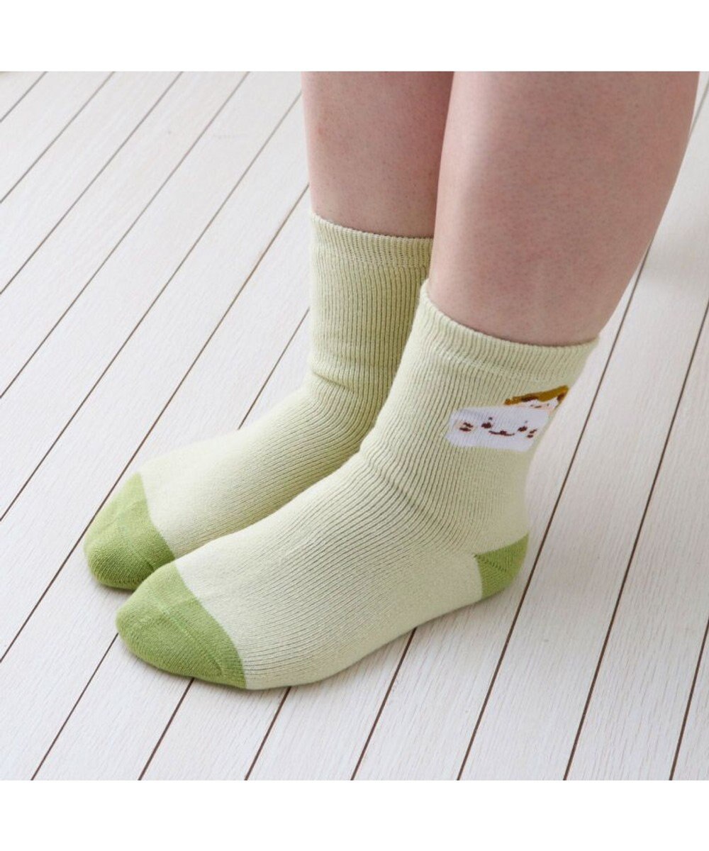 Mother garden しろたん ルームソックス 《ハリネズミ》 