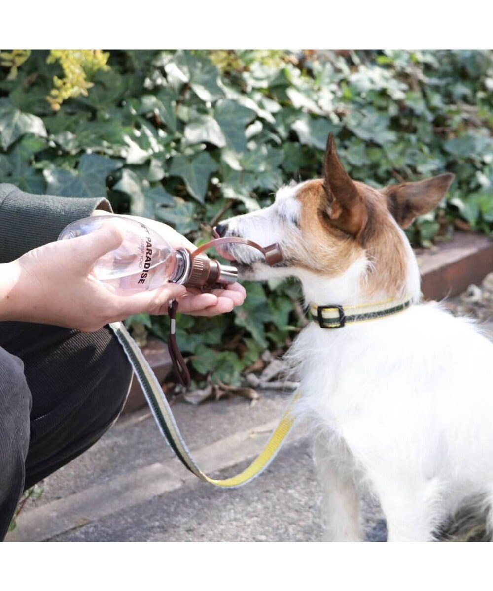 犬用品 ペットグッズ お散歩 ペットパラダイス お水携帯ボトル 茶 2ml お散歩 ドライブ中 旅行先等 給水器 お散歩 おでかけ 水のみ お散歩中 水分補給 熱中症 犬 猫 うさぎ Pet Paradise 通販 雑貨とペット用品の通販サイト マザーガーデン ペットパラダイス 犬用品 ペットグッズ お散歩 ペットパラダイス お水携帯ボトル 茶 2ml お散歩 ドライブ中 旅行先等 給水器 お散歩 おでかけ 水のみ お散歩中 水分補給 熱中症 犬 猫 うさぎ Pet Paradise 通販 雑貨とペット用品の通販サイト マザーガーデン ペットパラダイス