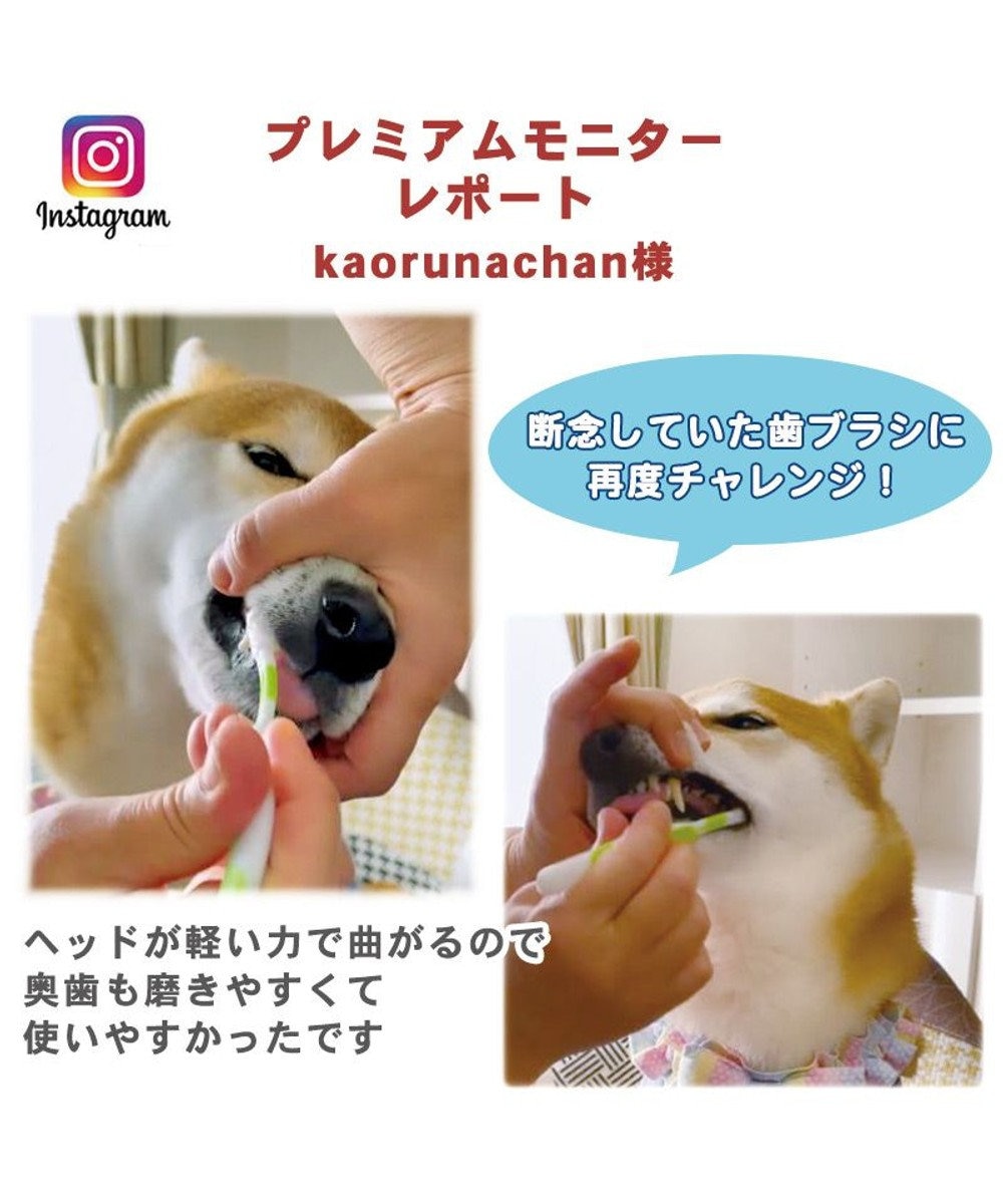 Uaq5qsgvzjbs6m