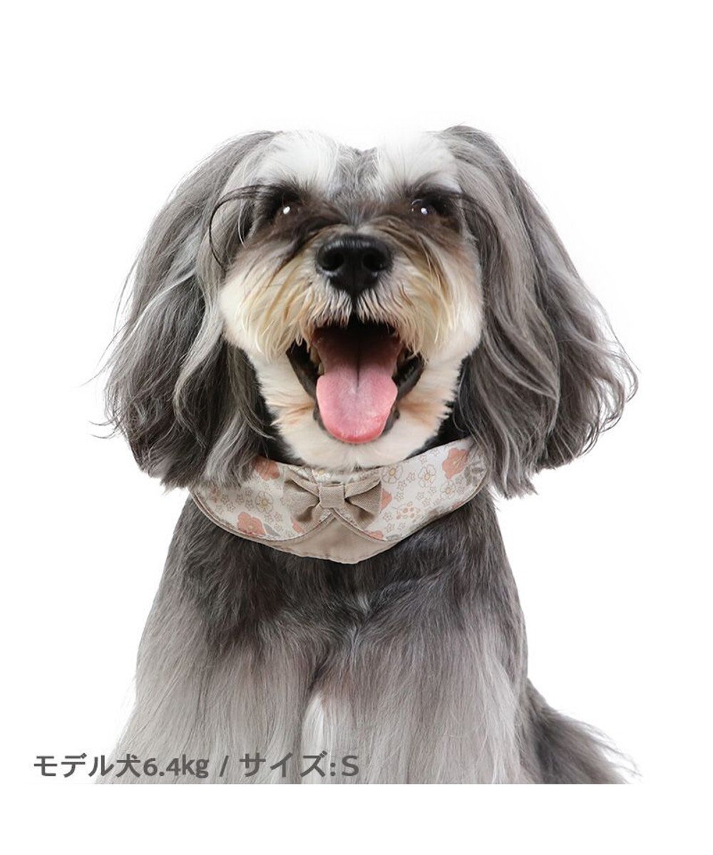 PET PARADISE 花柄 襟付首輪 【3S】 小型犬