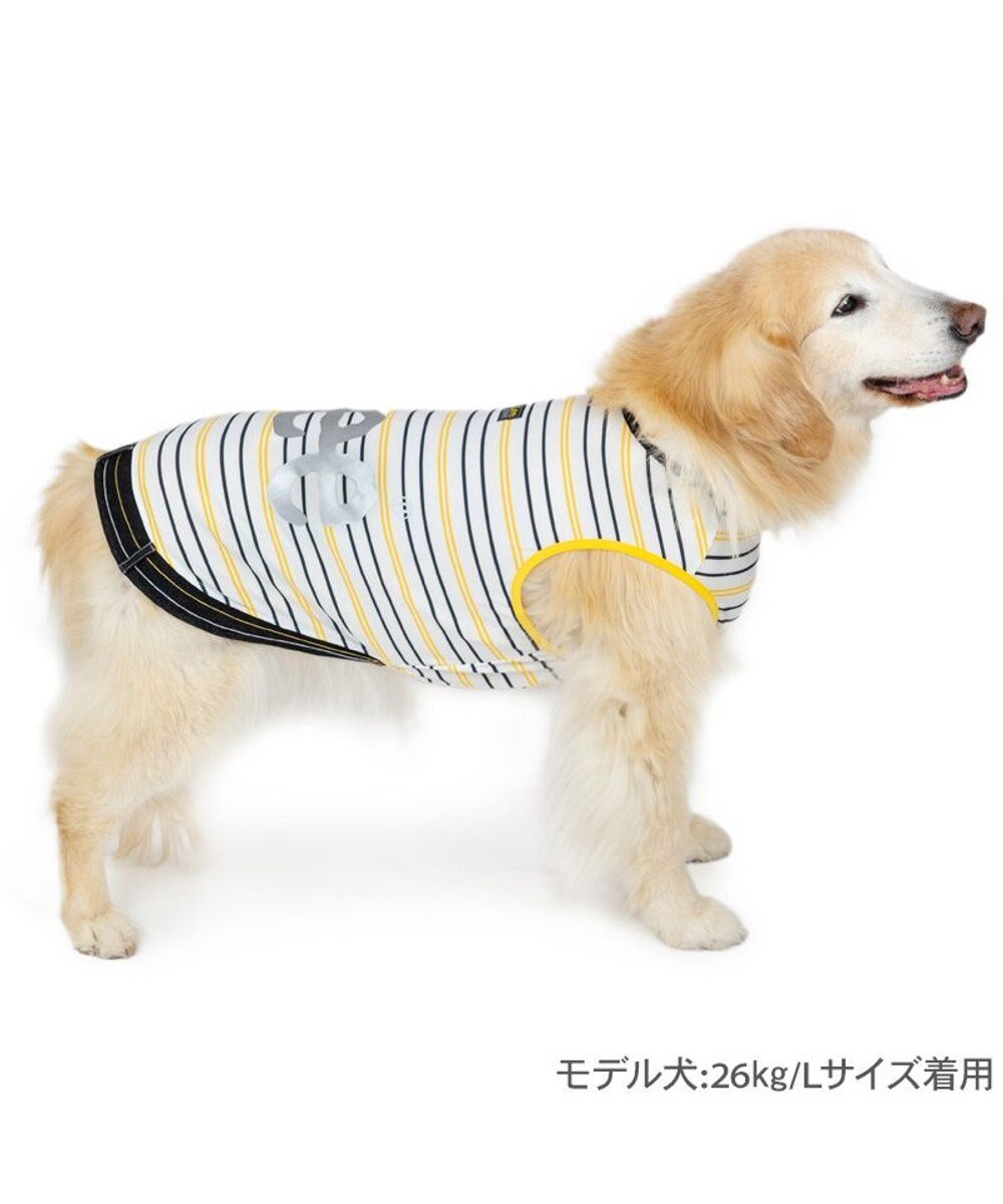 Lee エコメイド 彩ボーダー タンクトップ 中型犬 大型犬 / PET