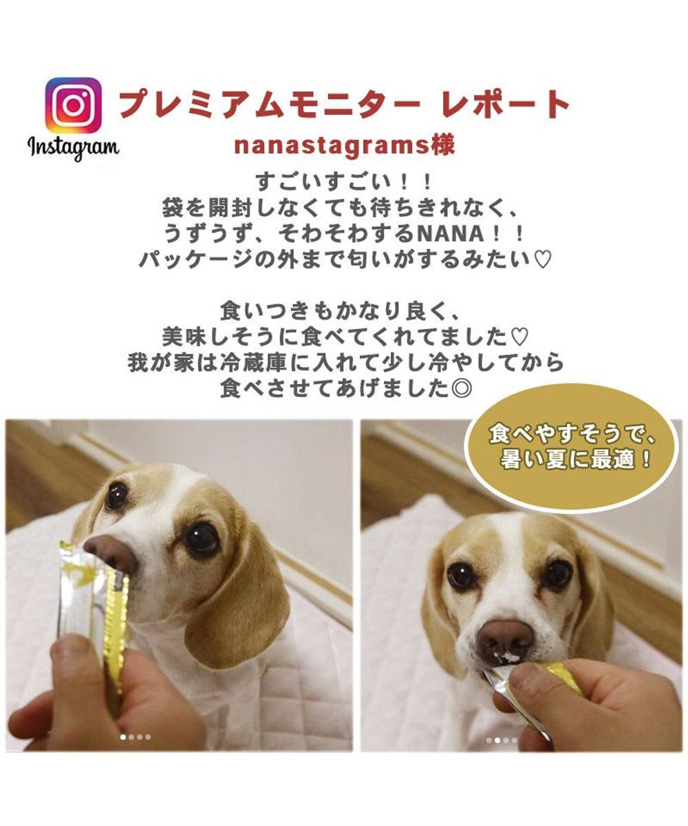 犬 猫 おやつ 無添加 国産 リアルフードスティック プレーン 10g 8本 鶏肉 低カロリー ペースト なめる トッピング 非常食 保存食 グレイン フリー 穀物不使用 犬オヤツ 犬用 ペット Pet Paradise 通販 雑貨とペット用品の通販サイト マザーガーデン ペットパラダイス