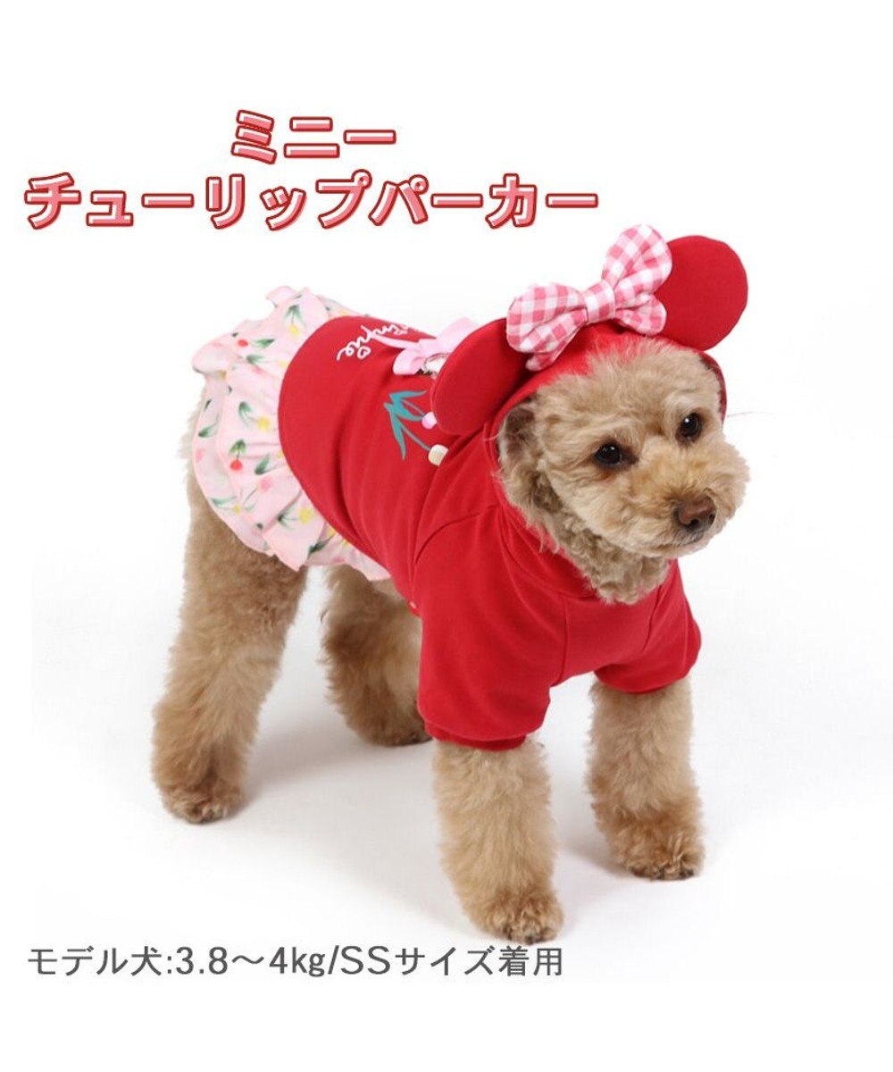 犬の服 犬 ディズニー ミニーマウス パーカー 【小型犬】 チューリップ, 赤, ３Ｓ