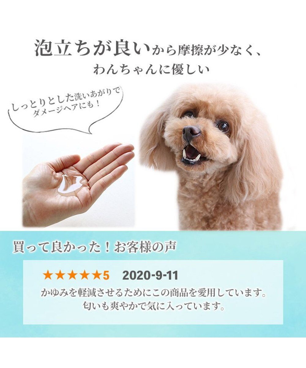 PET PARADISE ペットパラダイス  薬用 イオウ シャンプー 300mL  国産