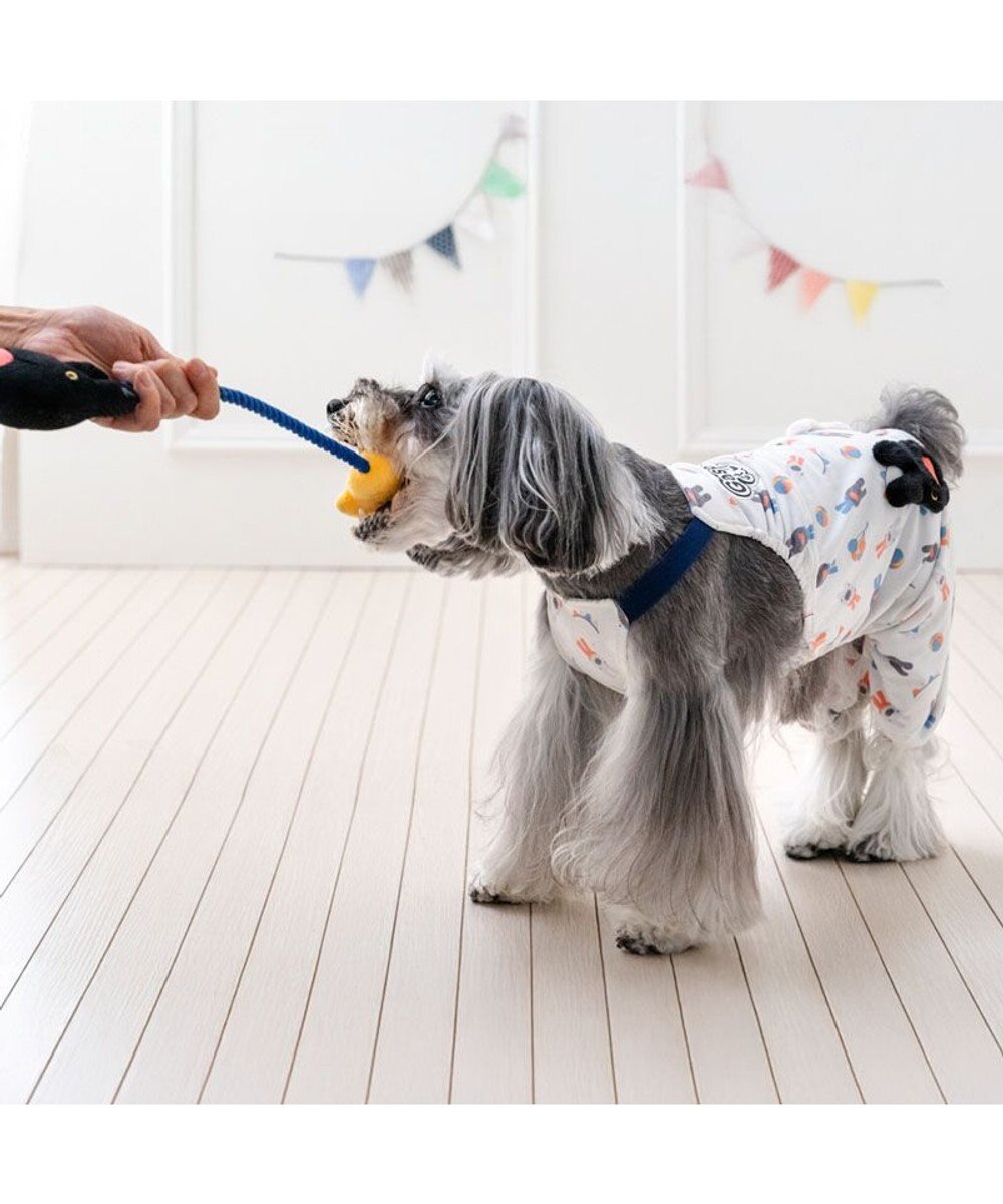 PET PARADISE リサとガスパール ロープトイ 《ガスパール》