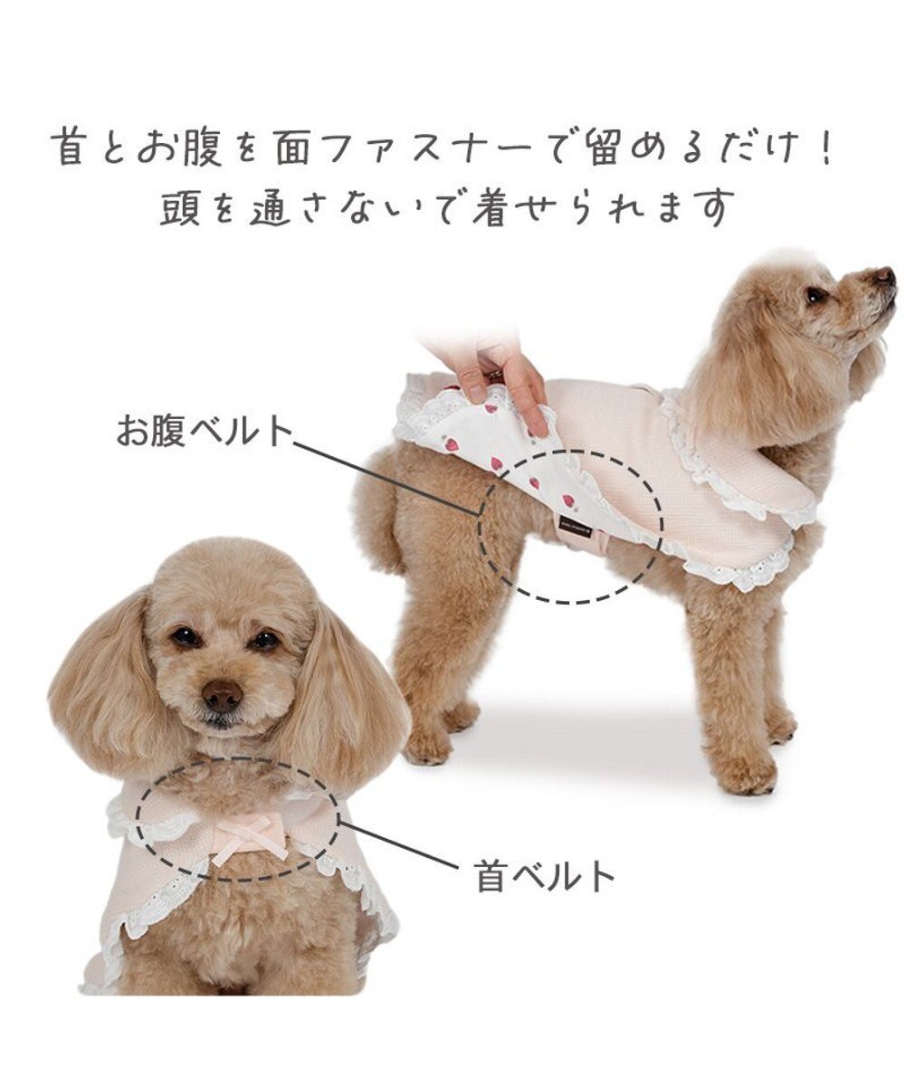 PET PARADISE ペットパラダイス お手軽 ポンチョ 《いちご》 小型犬 