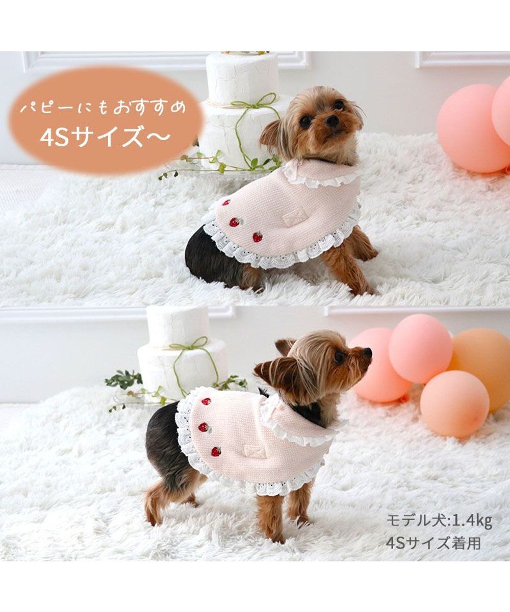 PET PARADISE ペットパラダイス お手軽 ポンチョ 《いちご》 小型犬 