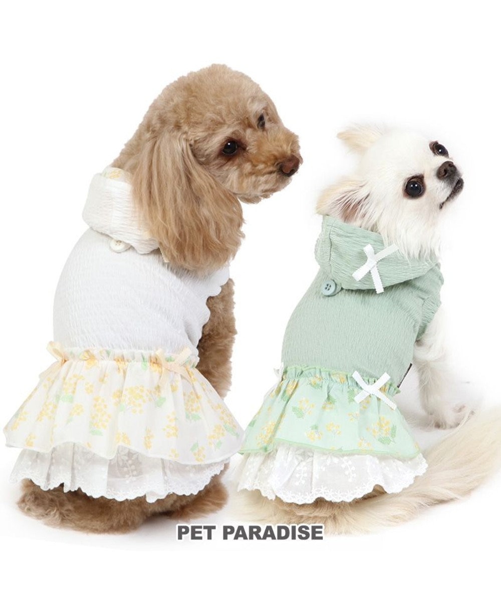 PET PARADISE 犬の服 犬 ワンピース 【小型犬】 ミモザ ホワイト グリーン グリーン