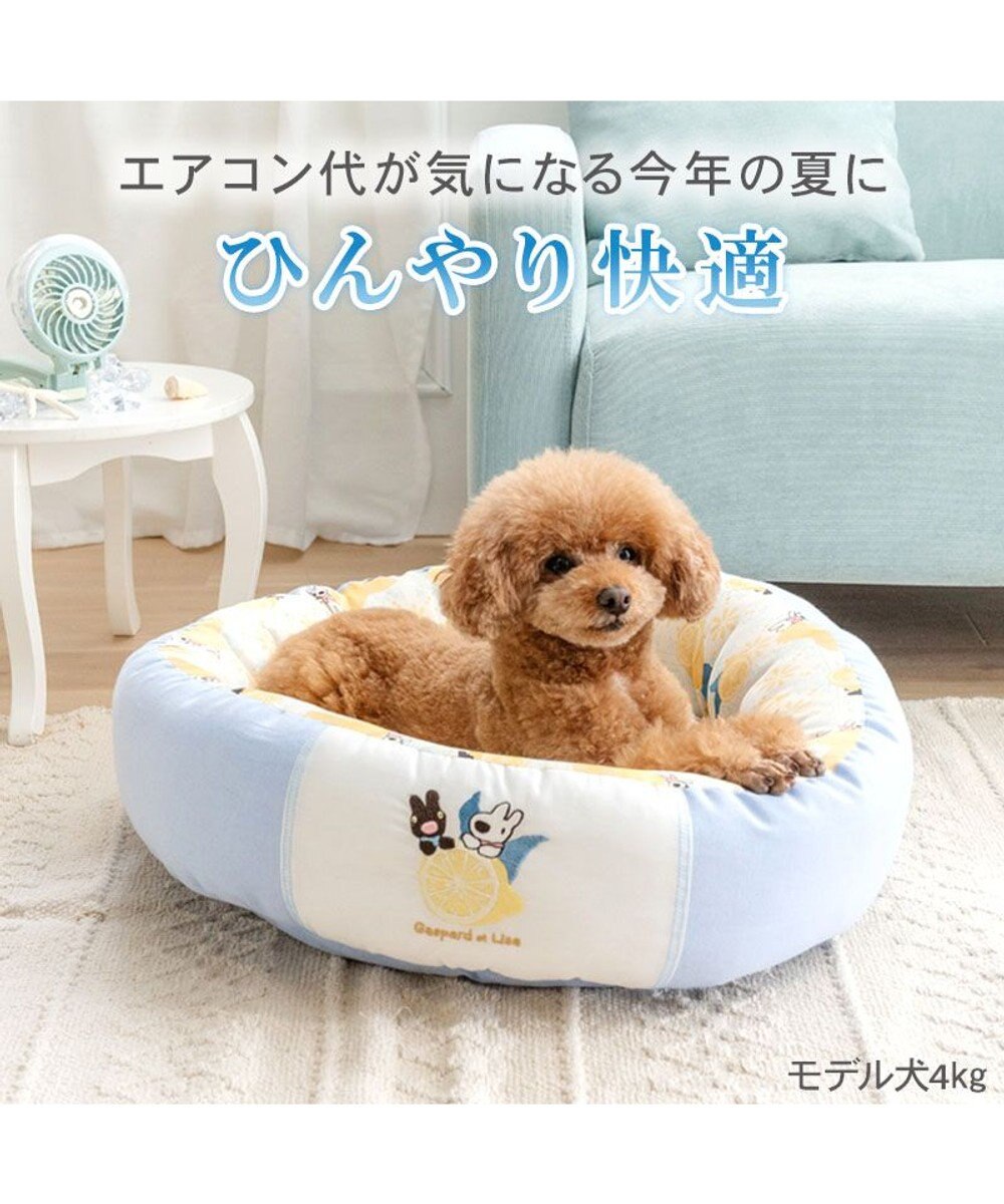 PET PARADISE リサとガスパール シトラス クールカドラー Ｍ 