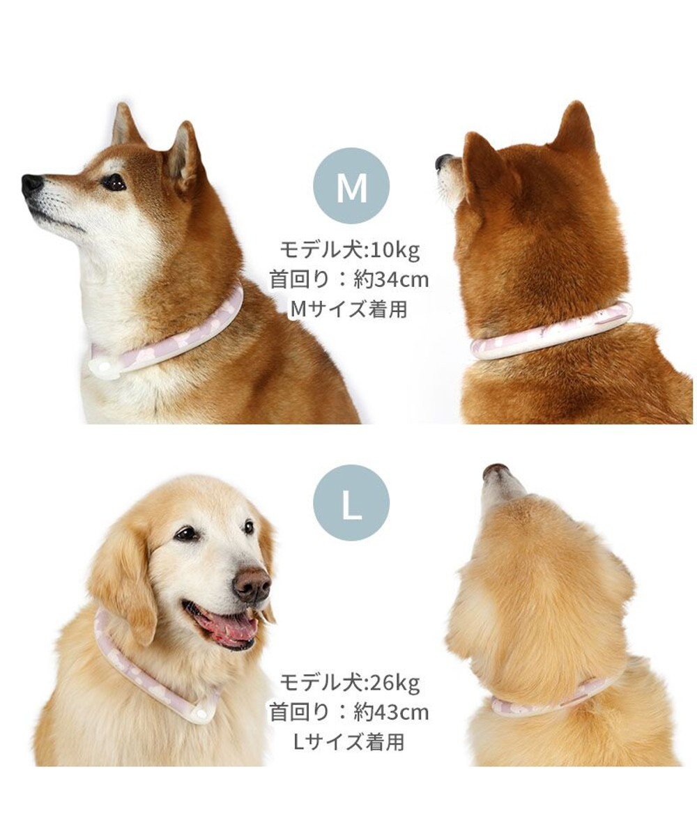 PET PARADISE ペットパラダイス 28℃クールリング  《くま》 Ｌ 大型犬 