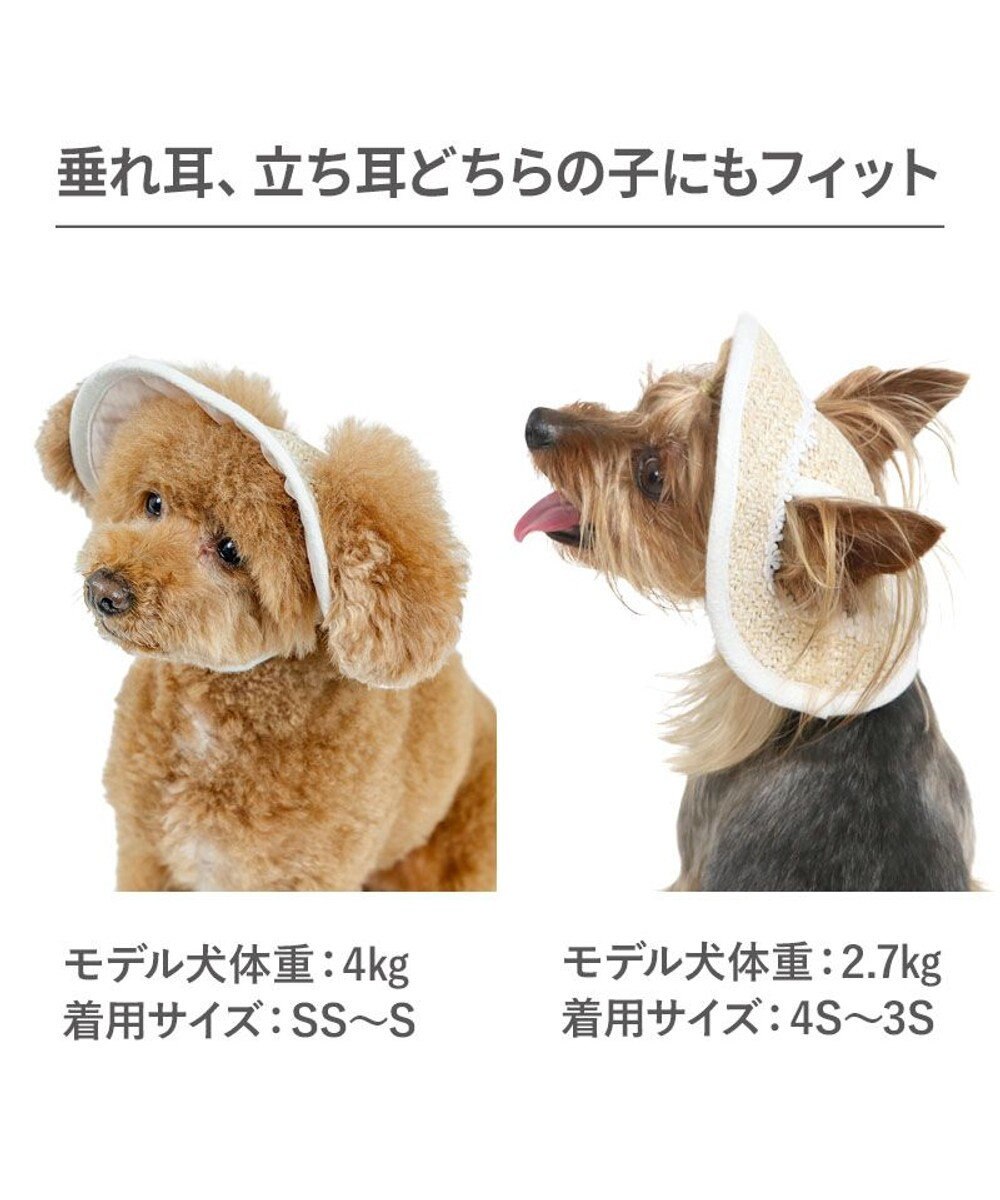 PET PARADISE ペットパラダイス レース クール ハット ４Ｓ～３Ｓ/ＳＳ～Ｓ 小型犬 