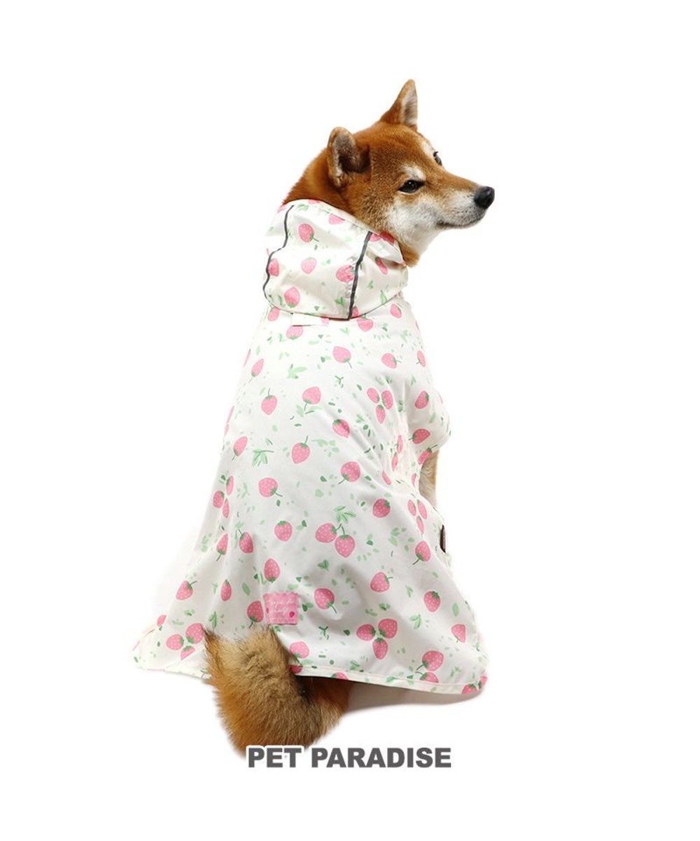 PET PARADISE 犬 レインコート 苺柄 レインマント 〔中・大型犬〕 ドッグウエア ドッグウェア イヌ おしゃれ かわいい -