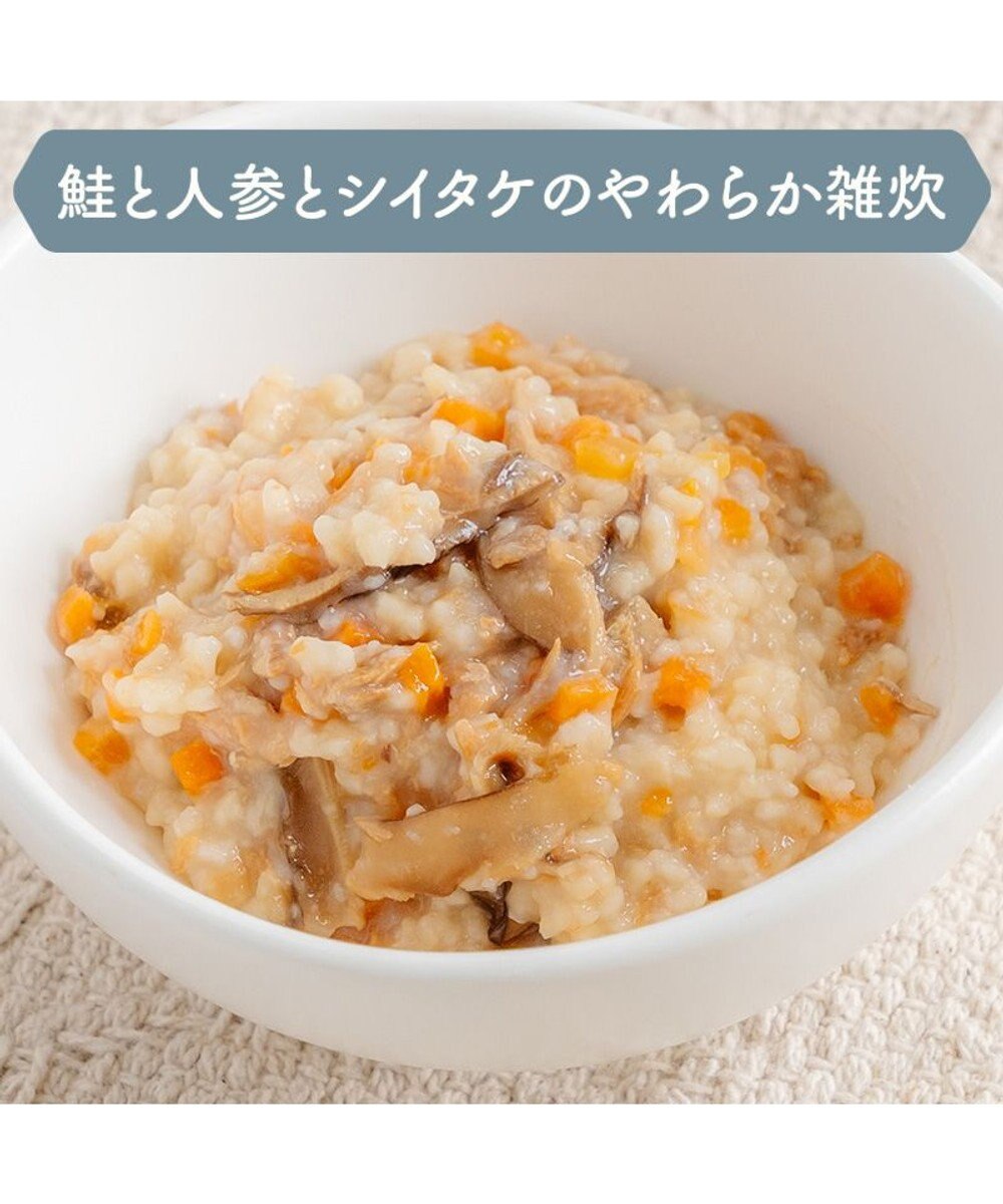 PET PARADISE 愛犬にやさしい スープごはん 鮭 