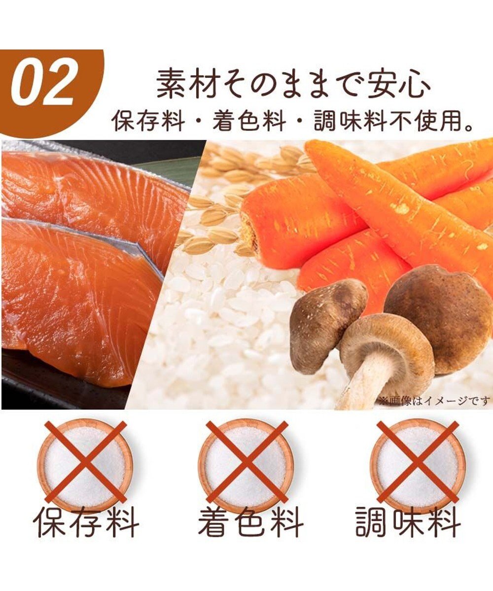 PET PARADISE 愛犬にやさしい スープごはん 鮭 