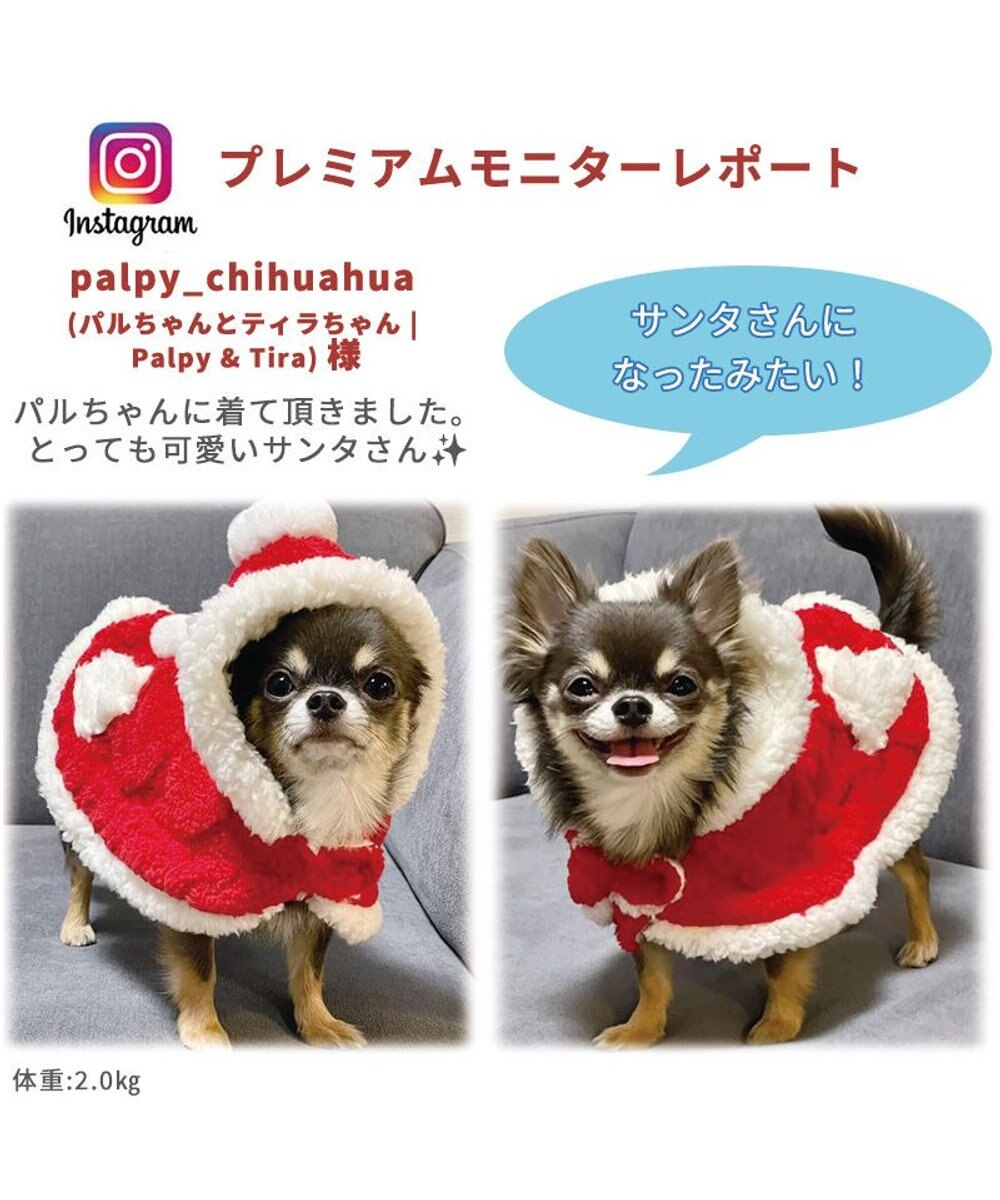 ペットパラダイス クリスマス ポンチョ 《サンタ》 小型犬, 赤, ４Ｓ