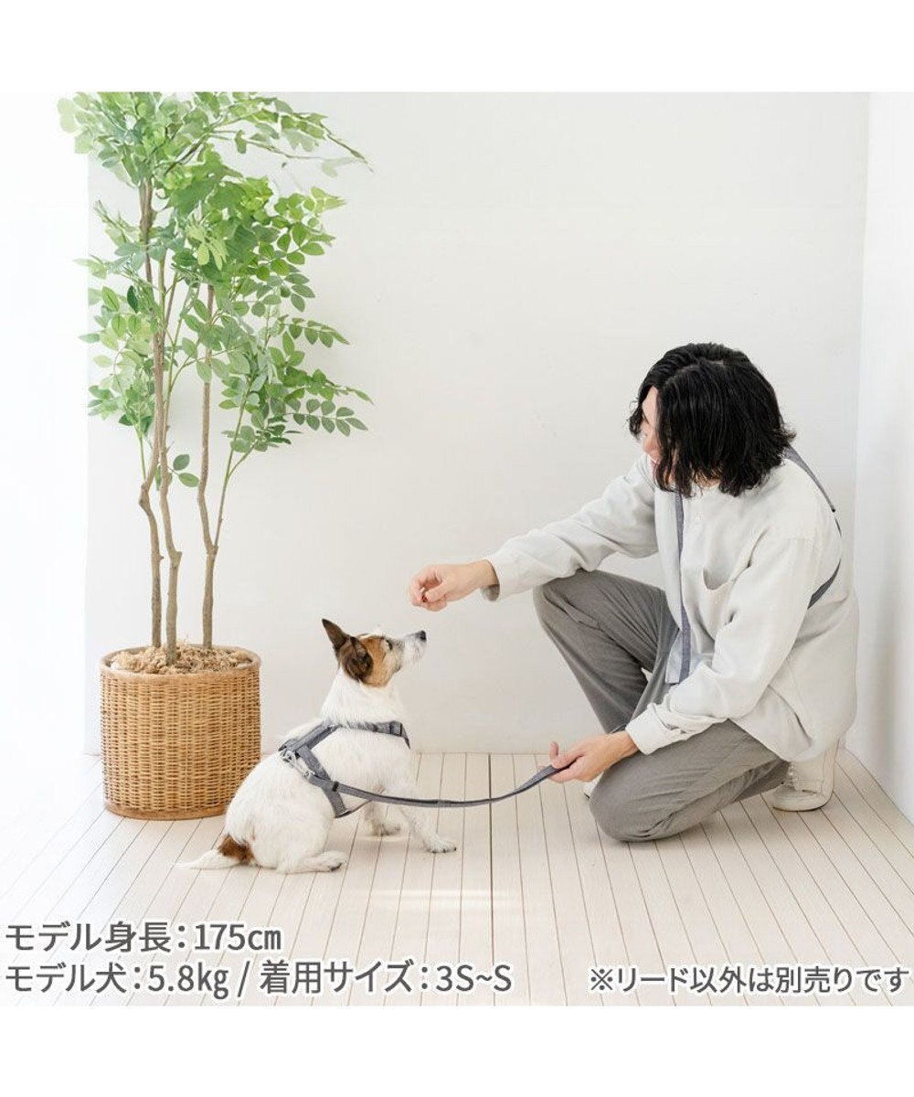 PET PARADISE ペットパラダイス ショルダーリード 3Ｓ～Ｓ 小型犬 
