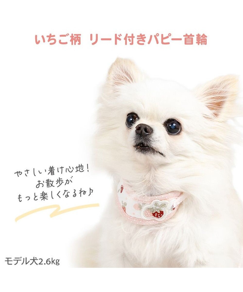 PET PARADISE ペットパラダイス リード付き首輪 《いちご》 小型犬 