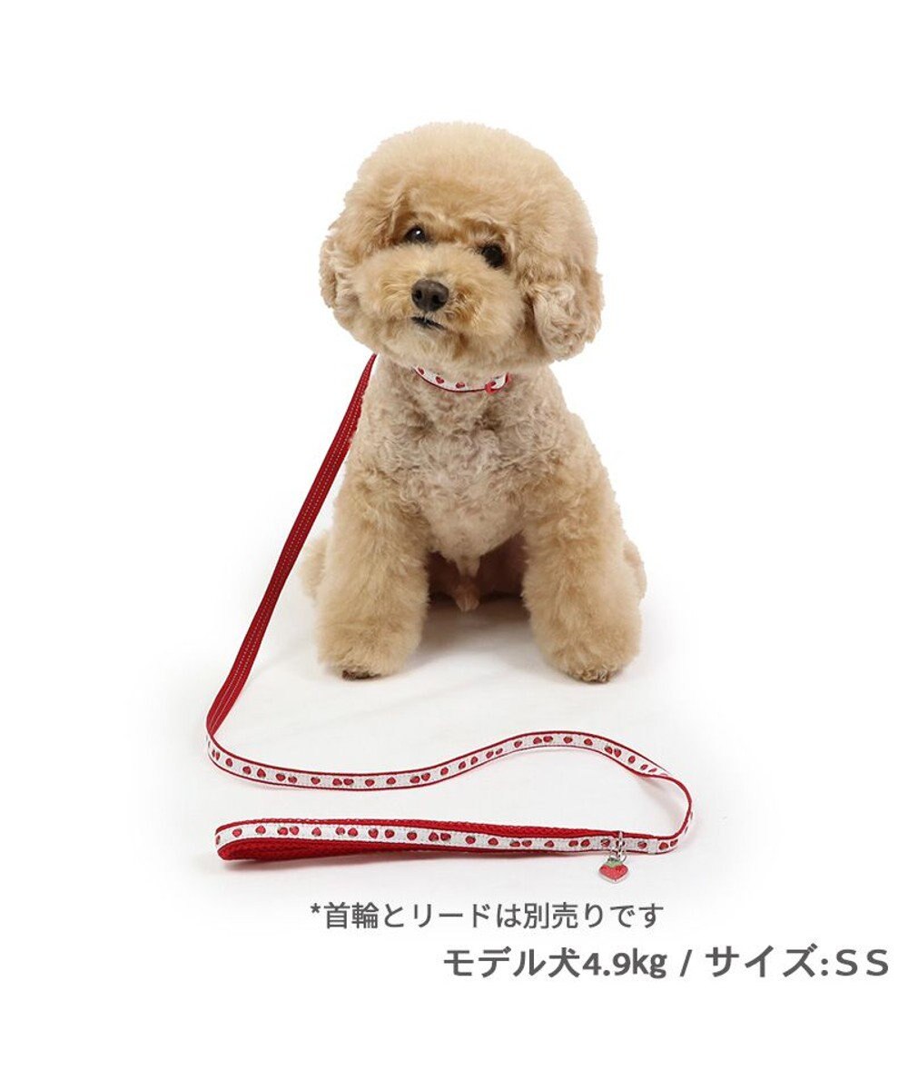 PET PARADISE ペットパラダイス 苺チャーム付き リード ３Ｓ 