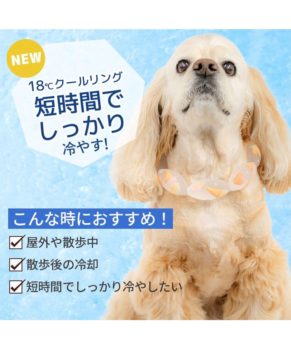 PET PARADISE ペットパラダイス １８℃ クールリング ＳＭ 《アイス柄》中型犬 