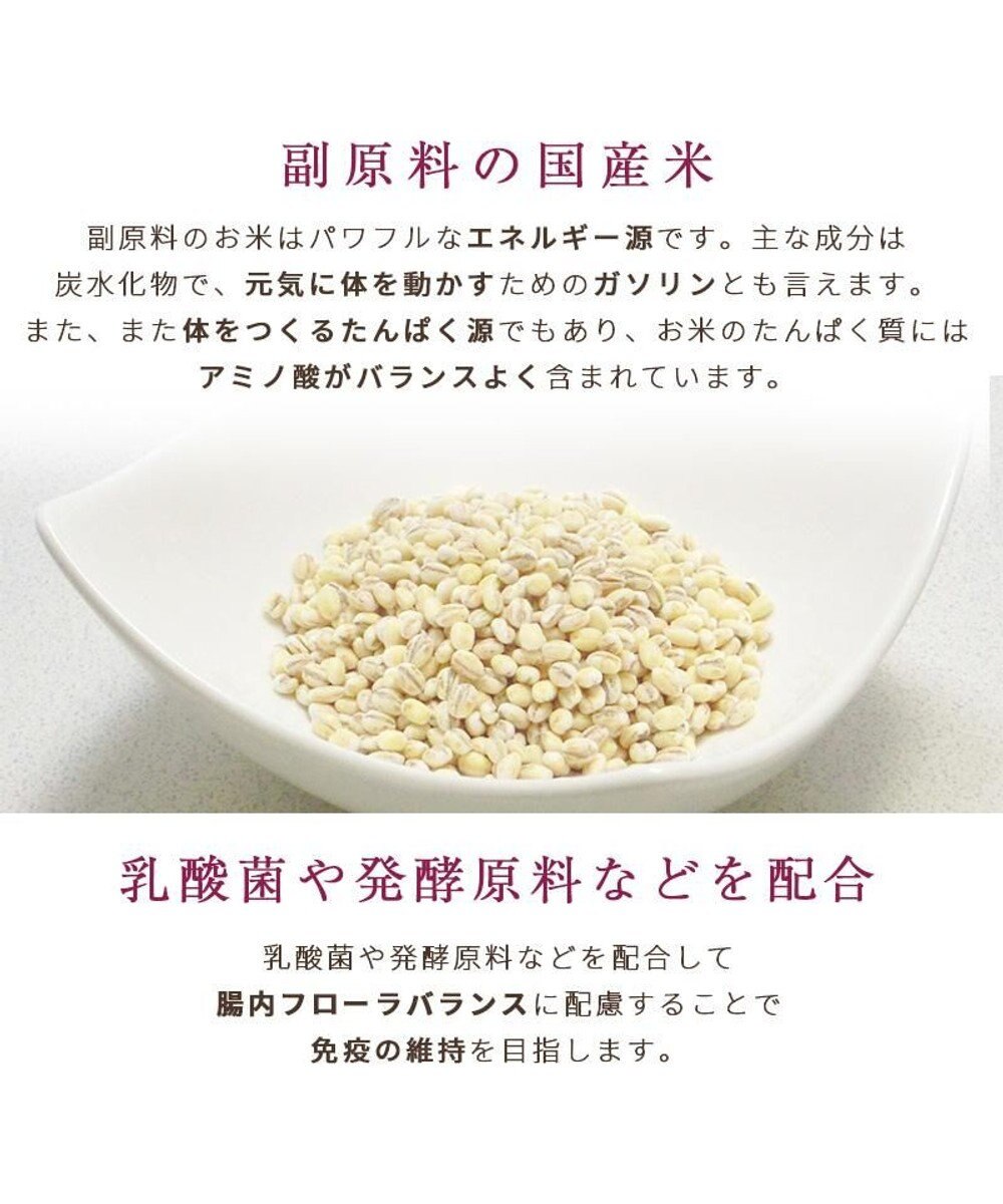 PET PARADISE ≪配合リニューアル≫ ペットパラダイス  国産 ドッグフード フローラ3kg