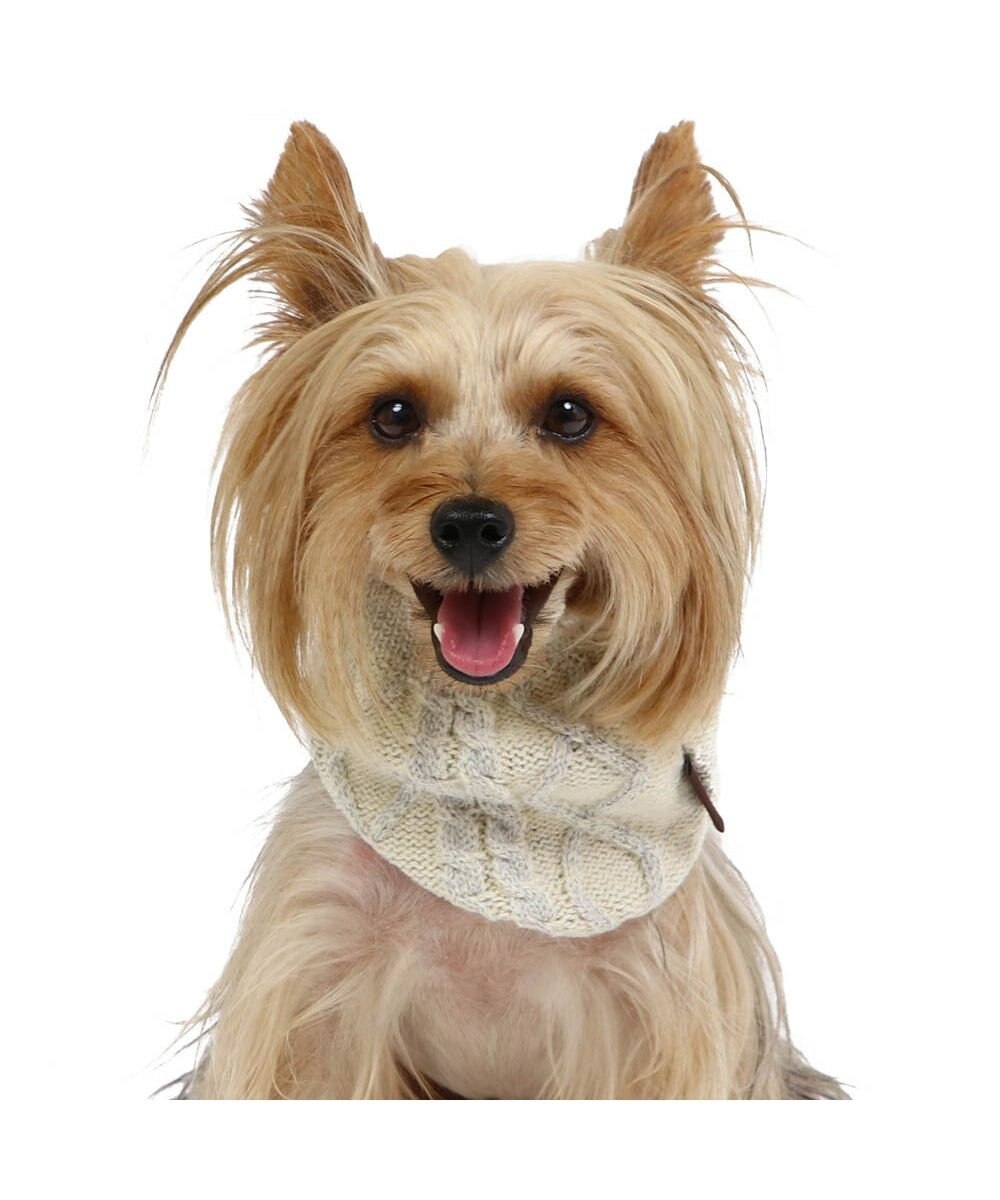 PET PARADISE ペットパラダイス 反射スヌード 《ホワイト》  小型犬 