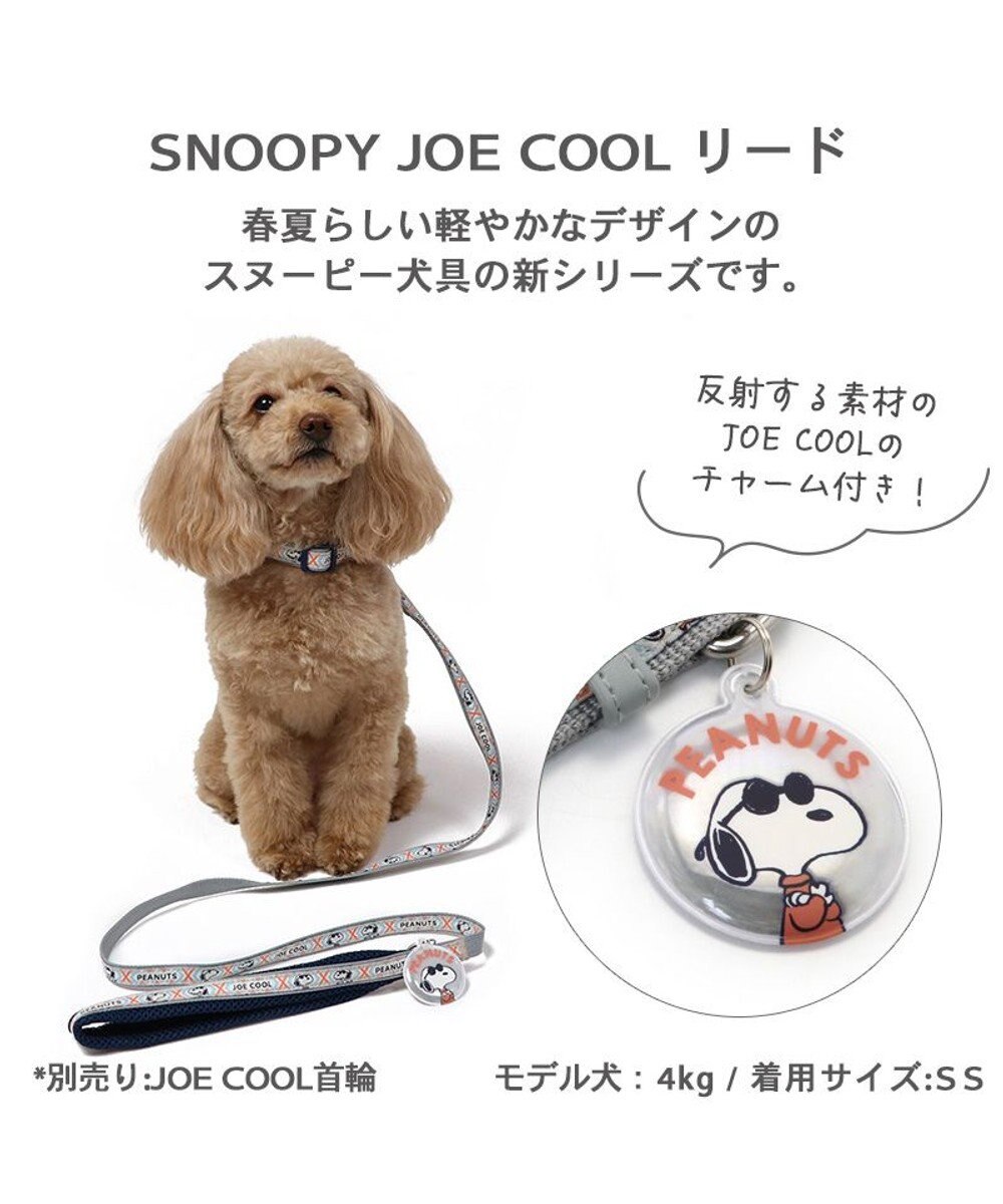 PET PARADISE 犬 スヌーピージョークール 反射 お揃いリード  【４Ｓ~３Ｓ】 