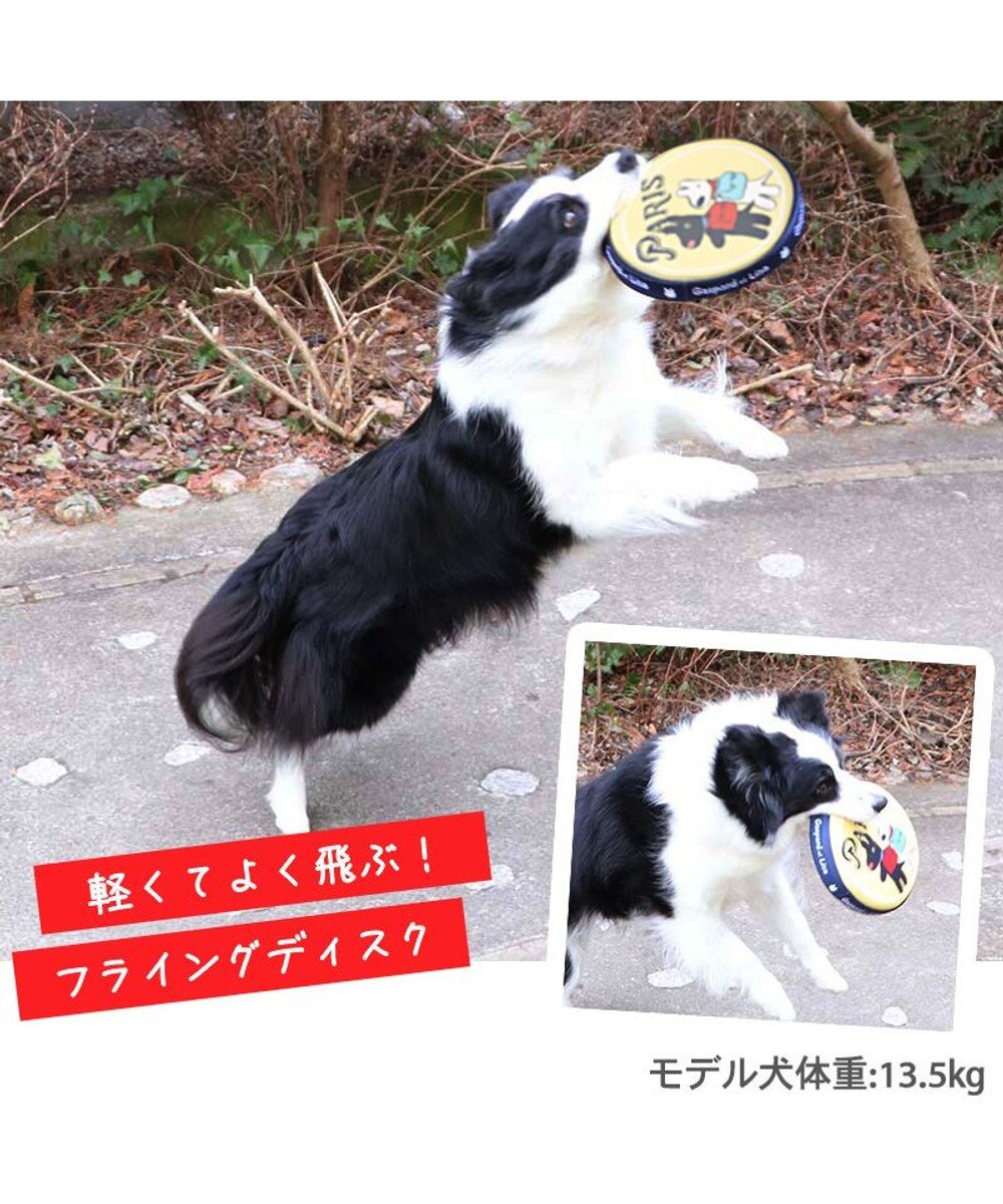 PET PARADISE 犬 おもちゃ リサとガスパール フライングディスク M (直径22cm) 