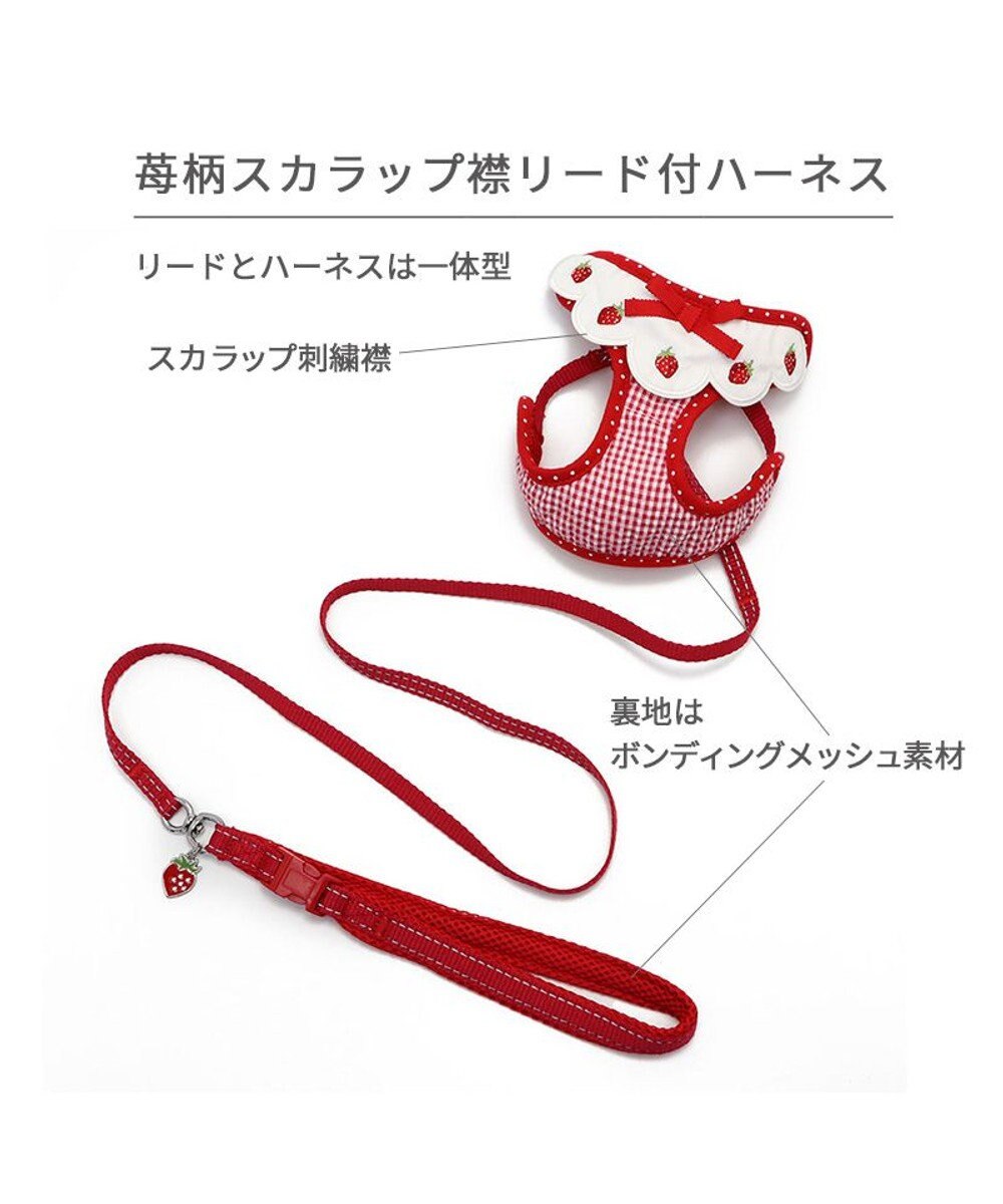 PET PARADISE ペットパラダイス ハーネス&リード スカラップカラー《いちご柄》 4S / 3S 小型犬