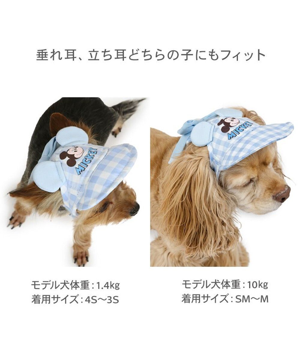 ディズニー ミッキーマウス なかよし キャップ 《ブルー》 小型